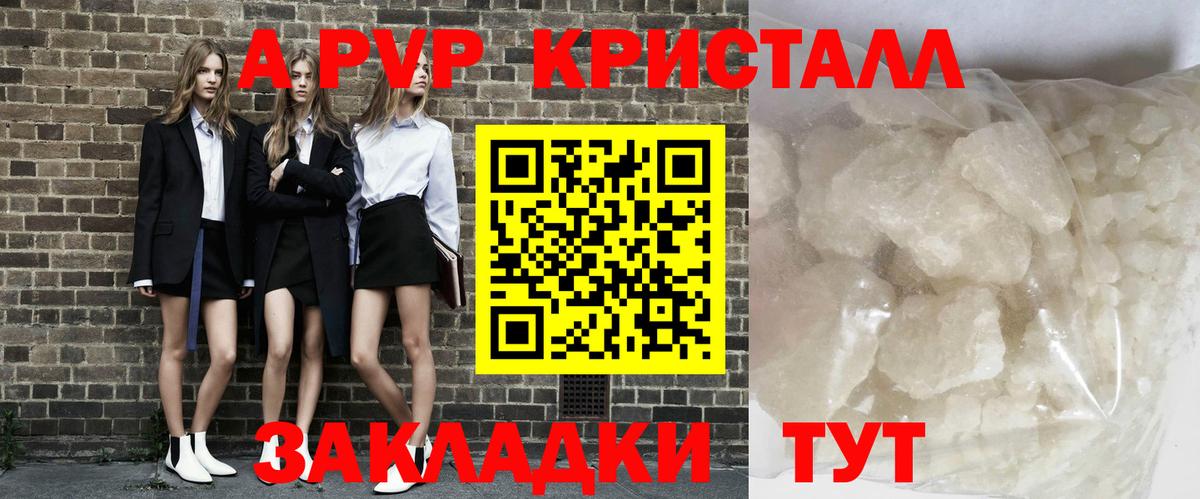 А ПВП СК КРИС  Вход с VPN  Абакан  Альфа ПВП СК 