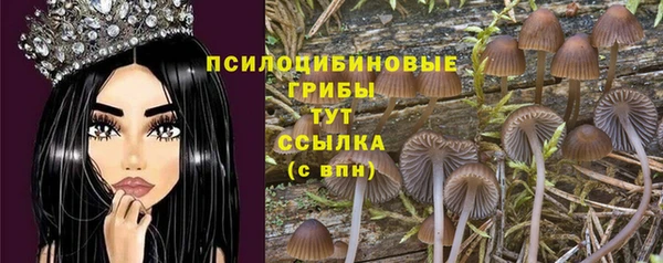 соль курить ск Алексеевка