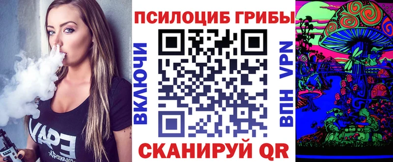 Галлюциногенные грибы мухоморы  дарнет шоп  Абакан 